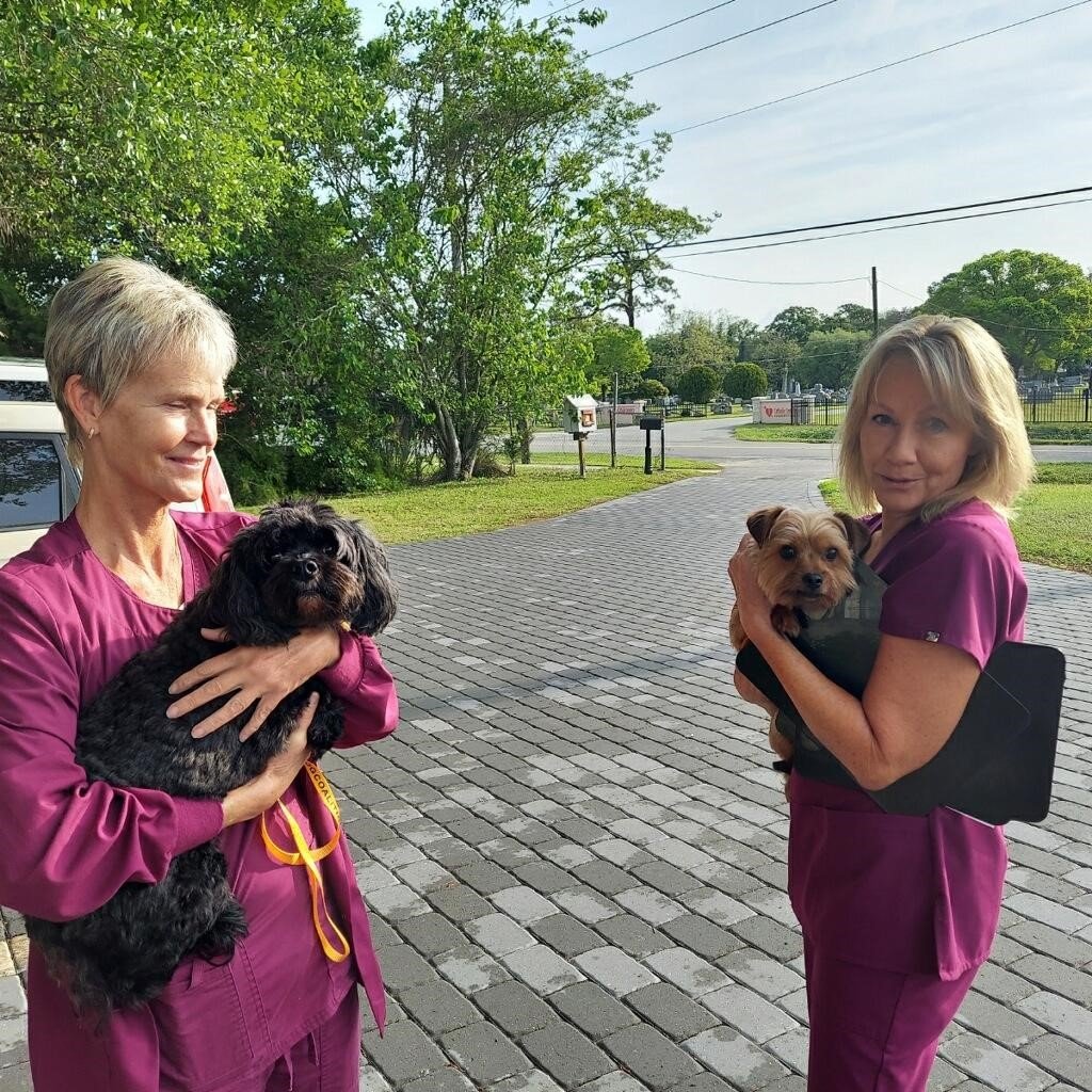 Volunteers play a vital role in the operations and success of the St. Augustine Humane Society.